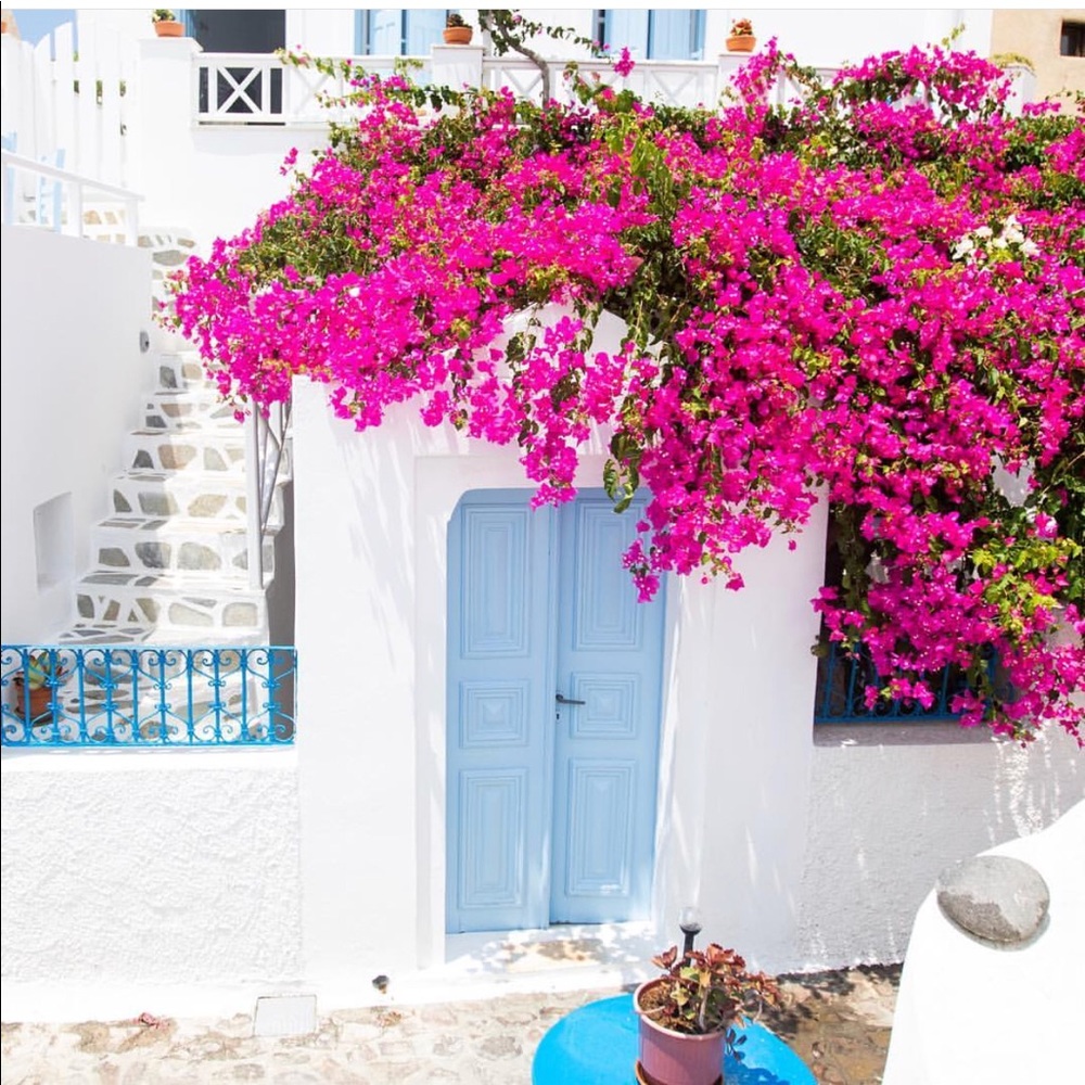 Meet your Posher, Lil